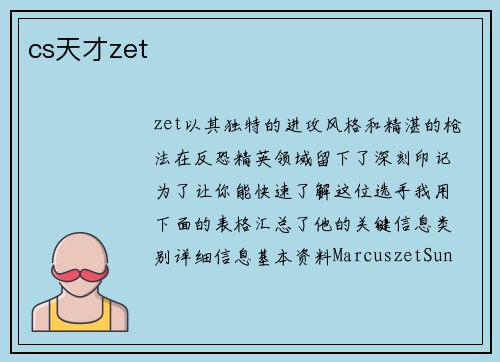 cs天才zet